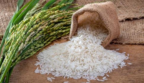 خلاصه استاندارد ملی  برنج- ویژگی‌ها و روش‌های آزمون